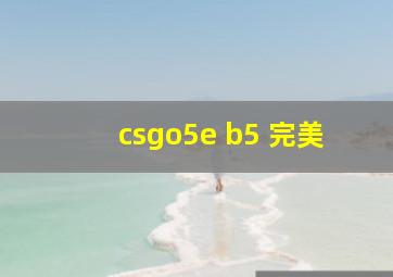 csgo5e b5 完美